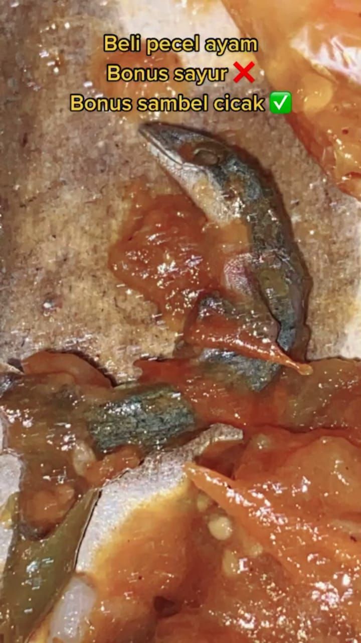 Netizen Temukan Cicak Dalam Sambal Pecel Ayam