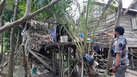 Pasutri lanjut usia (lansia) di Ogan Ilir, Sumsel, tinggal di dalam kandang ayam selama 7 tahun. Kondisi gubuk yang menjadi tempat tinggal pasutri bersama ayam tersebut sangat miris. (Foto: M Syahbana-detikcom)
