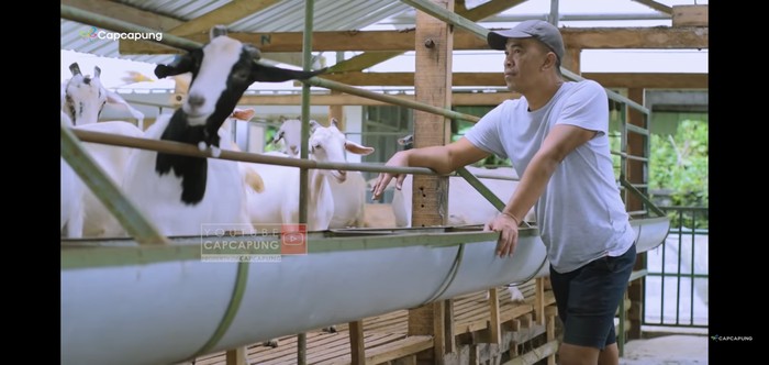 Mantan Manager BUMN Ini Sukses Jadi Peternak Kambing Mantan Manager BUMN Ini Sukses Jadi Peternak Kambing