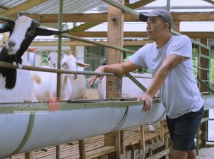 5 Mantan Bos Ini Pilih Jualan Sayur dan Dimsum