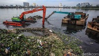 Operator alat berat dari Dinas Lingkungan Hidup mengangkut lumpur, sampah maupun enceng gondok di Waduk Pluit, Jakarta Utara, Selasa (15/6/2021).