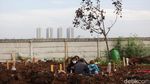Pemakaman Korban COVID-19 Mulai Ramai Lagi