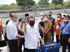Trenggono Resmi Larang Penggunaan Cantrang!