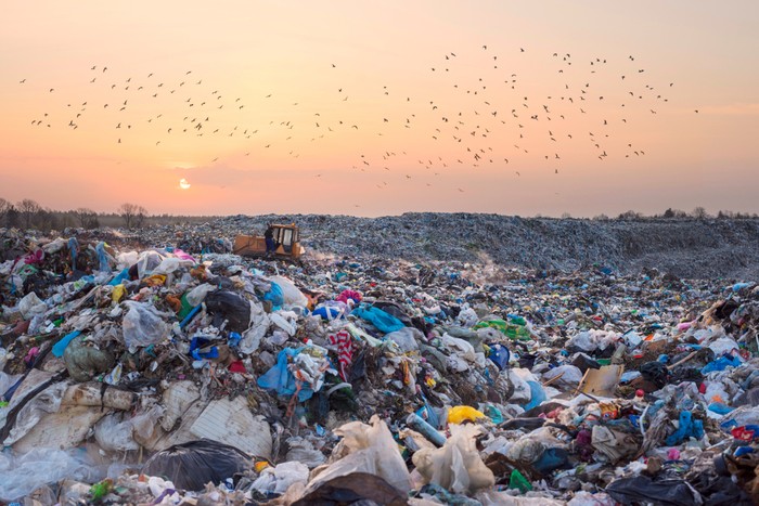 sampah sampah