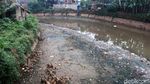Melihat Penyusutan Air Sungai Citarum