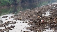 Sedimentasi ini akan menyebabkan pendangkalan yang selanjutnya menaikkan permukaan air.