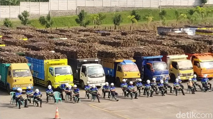 Hari ini pabrik gula Rejoso Manis Indo (RMI) memulai musim giling. Agar tidak terjadi kemacetan di jalur Blitar-Malang, hanya truk dengan daya angkut maksimal 8 ton yang boleh melintas.