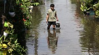 Air mulai naik sejak pukul 18.30 WIB kemarin dan puncaknya pada tengah malam tadi hampir mencapai 2 meter.