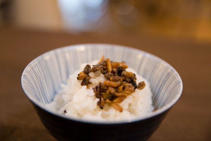 Ekstrem! Rice Bowl Ini Lauknya Cicak Panggang dan Belatung