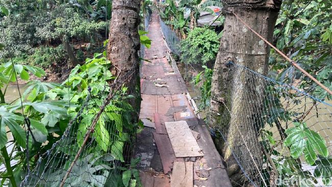 Jembatan gantung bak film 'Indiana Jones' di Srengseng Sawah Jaksel-Depok, 16 Juni 2021. (Annisa Rizky Fadhila/detikcom)