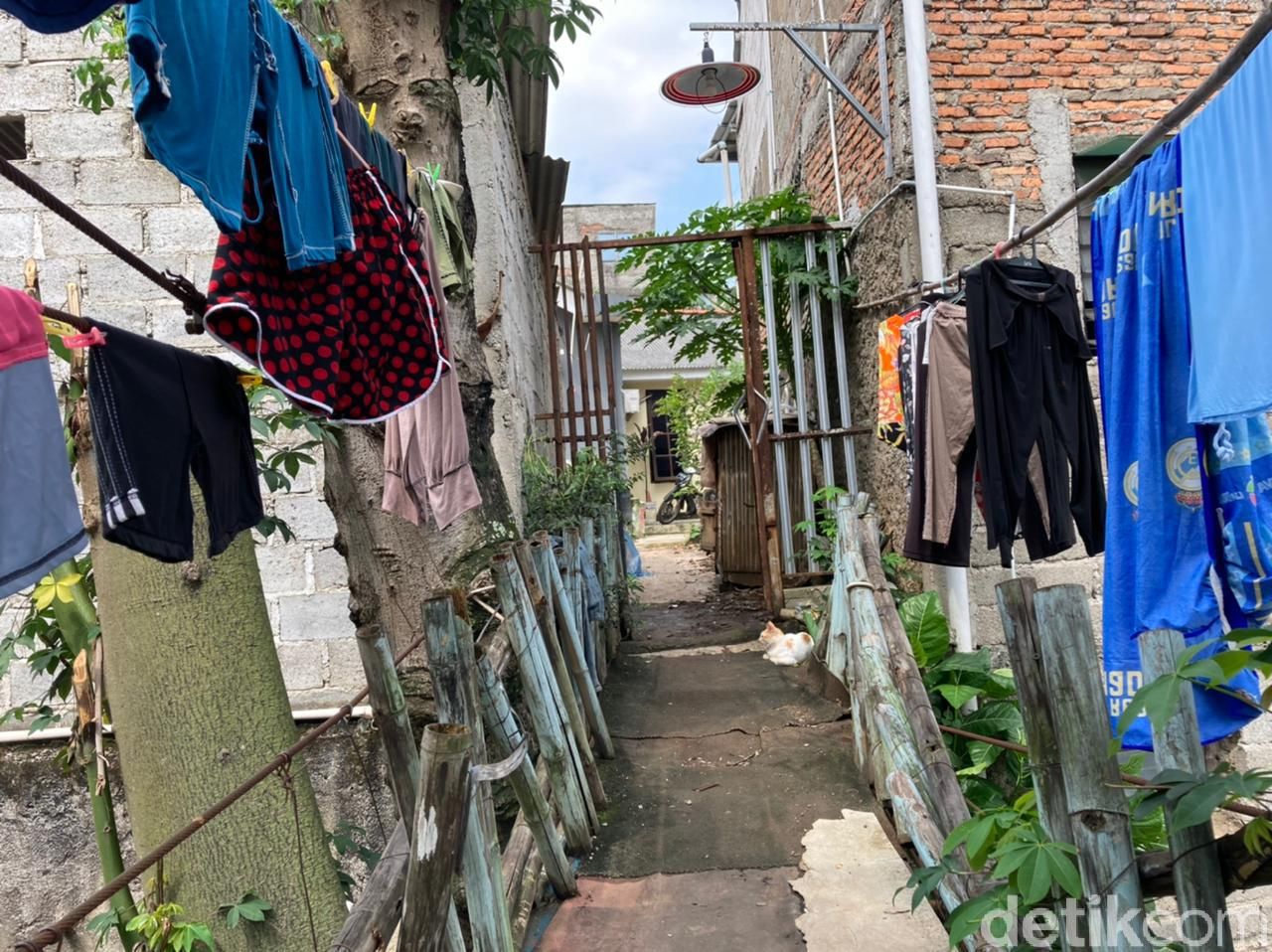 Jembatan gantung bak film 'Indiana Jones' di Srengseng Sawah Jaksel-Depok, 16 Juni 2021. (Annisa Rizky Fadhila/detikcom)
