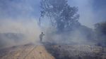 Khianati Gencatan Senjata, Israel Kembali Serang Gaza