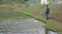 Ikan di embung ini cukup banyak. Pengunjung pun bisa memberi makan ikan dengan membeli pakan di warung sekitar sini. 