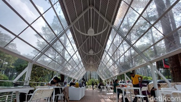 Paket komplet itu yang ditawarkan oleh Warung Kopi Gunung. Kedai kopi yang berada di kawasan hutan pinus. Paket komplet itu yang ditawarkan oleh Warung Kopi Gunung. Kedai kopi yang berada di kawasan hutan pinus.