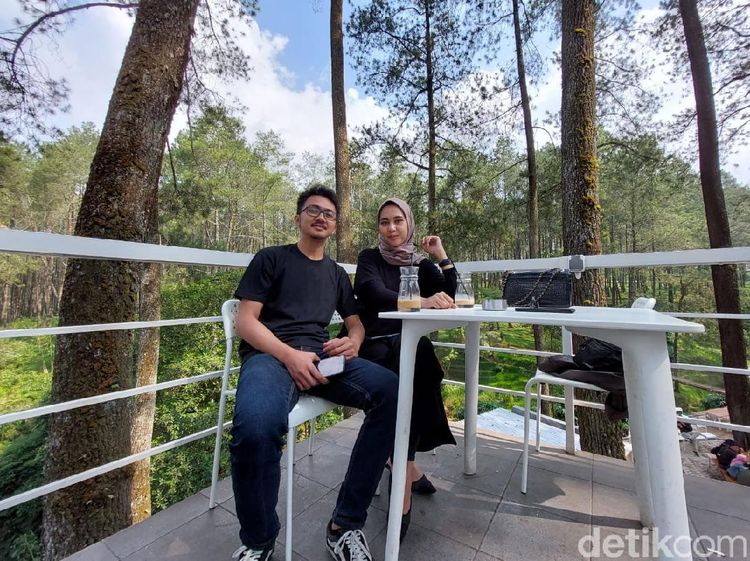 Menikmati Kopi dan Sejuknya Hutan Pinus di Lembang