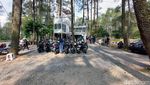 Menikmati Kopi dan Sejuknya Hutan Pinus di Lembang