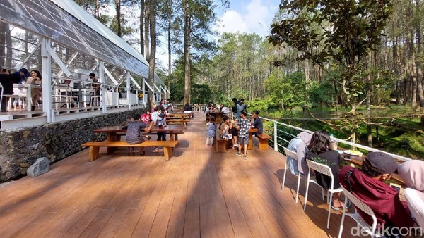 Para pengunjung harus rela antre untuk memesan lantaran sistem yang diberlakukan pun cukup unik. Setiap pengunjung yang sudah memesan dan melakukan pembayaran bisa langsung berjalan-jalan di area hutan pinus. Apabila makanan sudah siap disajikan maka pihak kafe akan memanggil pengunjung untuk mengambil pesanannya dan menikmati di tempat yang sudah disediakan. Para pengunjung harus rela antre untuk memesan lantaran sistem yang diberlakukan pun cukup unik. Setiap pengunjung yang sudah memesan dan melakukan pembayaran bisa langsung berjalan-jalan di area hutan pinus. Apabila makanan sudah siap disajikan maka pihak kafe akan memanggil pengunjung untuk mengambil pesanannya dan menikmati di tempat yang sudah disediakan.