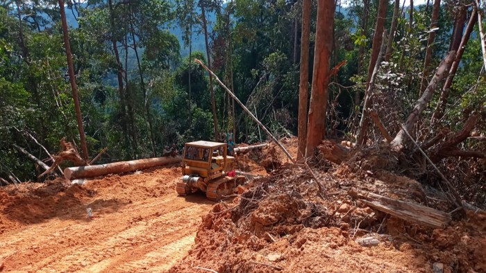 Penangkapan pembalak liar di Riau (dok. KLHK)