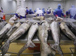 Mengenal Ekonomi Maritim Beserta Contoh Potensinya
