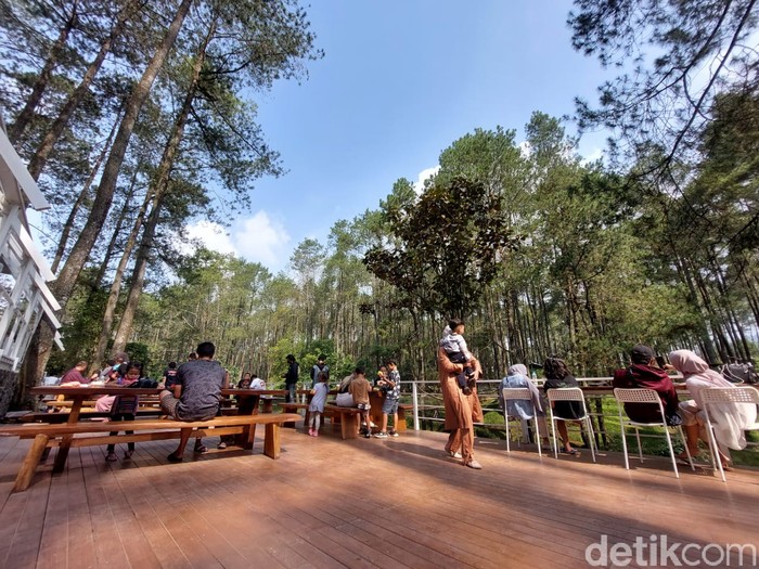 Foto Warung Kopi Gunung Di Tengah Hutan Pinus Lembang 5420