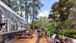 Foto: Warung Kopi Gunung di Tengah Hutan Pinus Lembang
