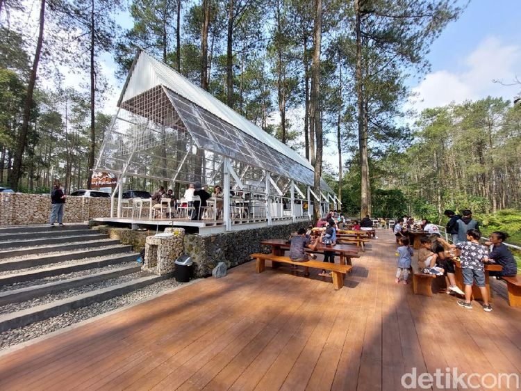 Foto: Warung Kopi Gunung di Tengah Hutan Pinus Lembang