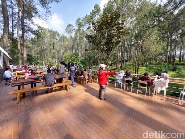 Setiap pengunjung yang sudah memesan dan melakukan pembayaran bisa langsung berjalan-jalan di area hutan pinus. Setiap pengunjung yang sudah memesan dan melakukan pembayaran bisa langsung berjalan-jalan di area hutan pinus.Â