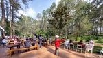 Foto: Warung Kopi Gunung di Tengah Hutan Pinus Lembang
