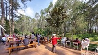 Setiap pengunjung yang sudah memesan dan melakukan pembayaran bisa langsung berjalan-jalan di area hutan pinus. 
