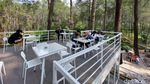 Foto: Warung Kopi Gunung di Tengah Hutan Pinus Lembang