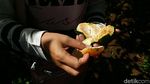 Foto Wisata Petik Jeruk Sepuasnya Murah Meriah di Ciamis