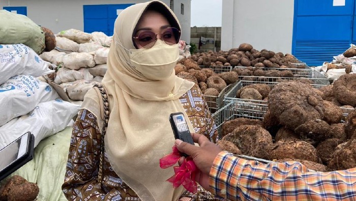 Anggota Komisi IV DPR RI, Ema Umiyyatul Chusnah.