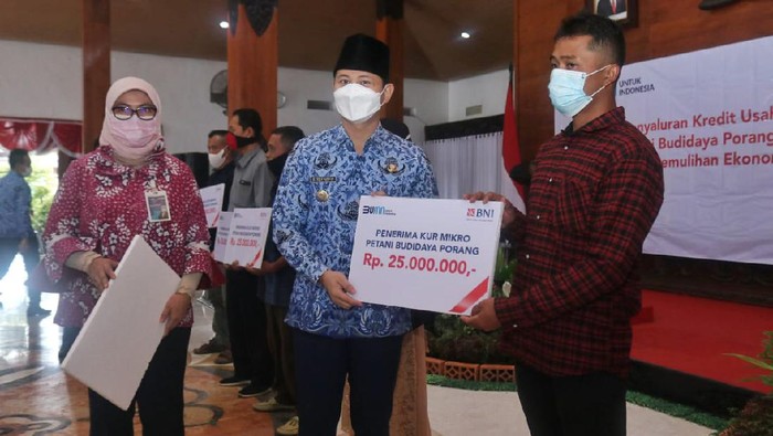 Ratusan petani porang di Trenggalek menerima pinjamam modal Rp 5,7 miliar. Pinjalam modal itu melalui Kredit Usaha Rakyat (KUR) dari salah satu bank pemerintah.