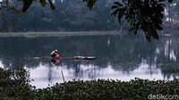 Tempat tumbuh yang ideal bagi tanaman eceng gondok adalah perairan yang  dangkal dan berair keruh, dengan suhu berkisar antara 28-30 derajat Celcius.