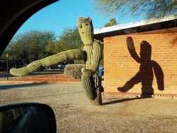 Ketika Sudut Pandang Bikin Objek Foto Membingungkan