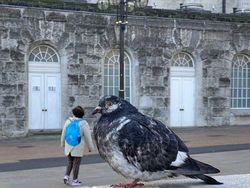 Ketika Sudut Pandang Bikin Objek Foto Membingungkan