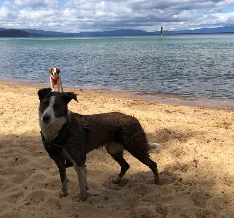 fotoinet foto angle bagus