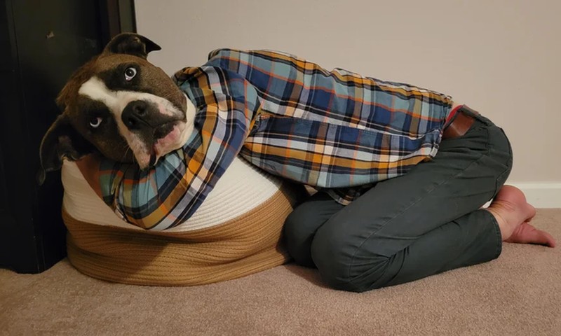 fotoinet foto angle bagus