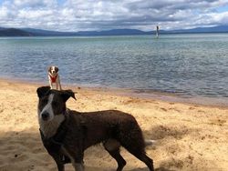 Ketika Sudut Pandang Bikin Objek Foto Membingungkan