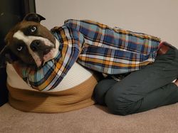 Ketika Sudut Pandang Bikin Objek Foto Membingungkan