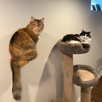 fotoinet foto angle bagus