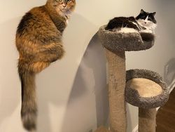 Ketika Sudut Pandang Bikin Objek Foto Membingungkan