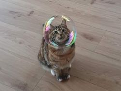 Ketika Sudut Pandang Bikin Objek Foto Membingungkan