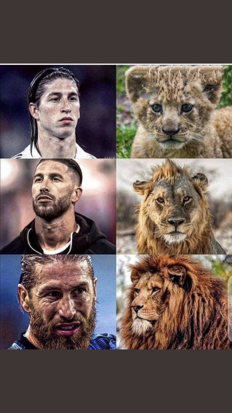 Meme Ramos