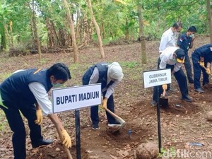Panen Raya Porang di Madiun, Gubernur Jatim Siapkan SK Larangan Ekspor Bibit