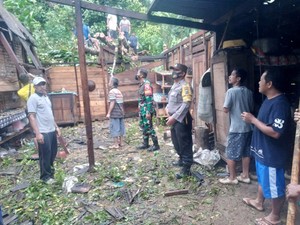 3 Desa di Kecamatan Watulimo Trenggalek Terdampak Longsor dan Pohon Tumbang