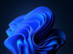 Tampilan Wallpaper Windows 11 yang Elegan