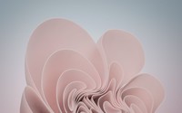Wallpaper Windows 11