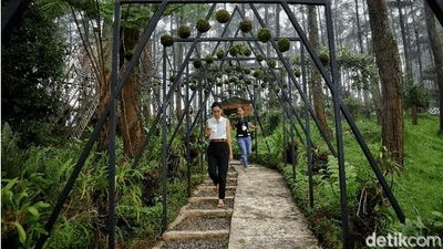 Bandung Siaga 1, Intip Lagi Yuk Keindahan Orchid Forest Cikole