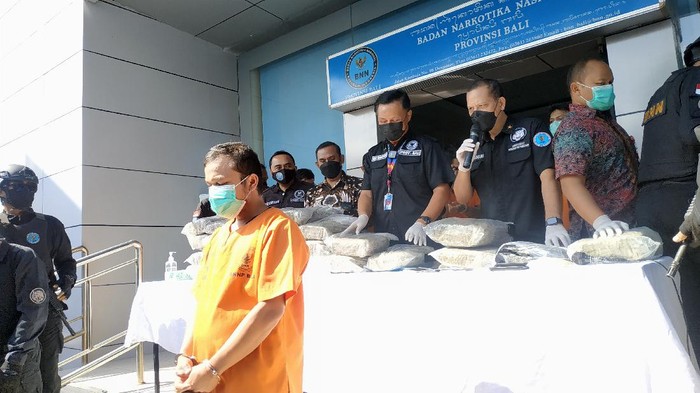 DPO pemasok ganja ke Bali dibekuk BNN